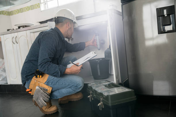 Best Shower Repair Services  in Schaumburg, IL