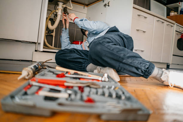 Best Commercial Plumbing Services  in Schaumburg, IL