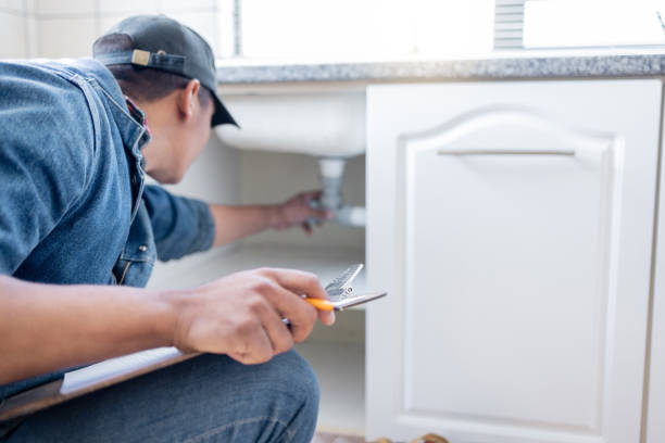 Best Residential Plumbing Services  in Schaumburg, IL